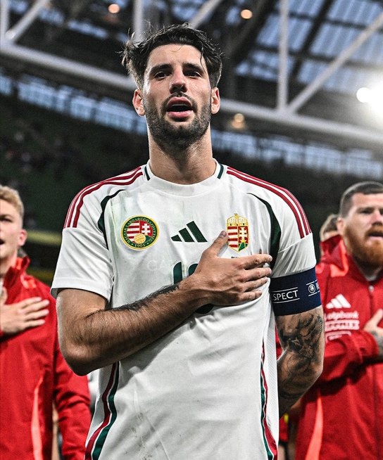 捷克主场-不敌阿尔巴尼亚，积分落后的简单介绍